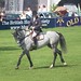 Michael Whitaker Photo 17