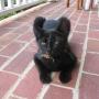 Rhonda Mills Photo 31