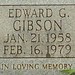Edward Gibson Photo 15
