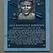 Roosevelt Robinson Photo 15