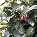 Janice White Photo 12