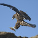 James Hawk Photo 23