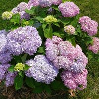 Betty Gray Photo 44