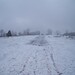 Abbie Robinson Photo 14