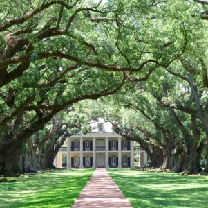 Allison Floyd Photo 35