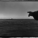 Fred Watson Photo 16