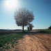 Chris Stelle Photo 4
