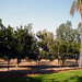 William Hoyt Photo 34
