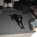 Chien Lee Photo 14