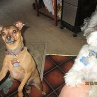 Susan Albright Photo 45
