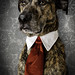 Don Latta Photo 6