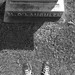 Jefferson Pendleton Photo 4