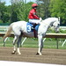 Patricia Powers Photo 38