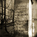 Stephen Mills Photo 53