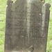 Mary Whitfield Photo 5
