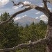 Alice Meeks Photo 21