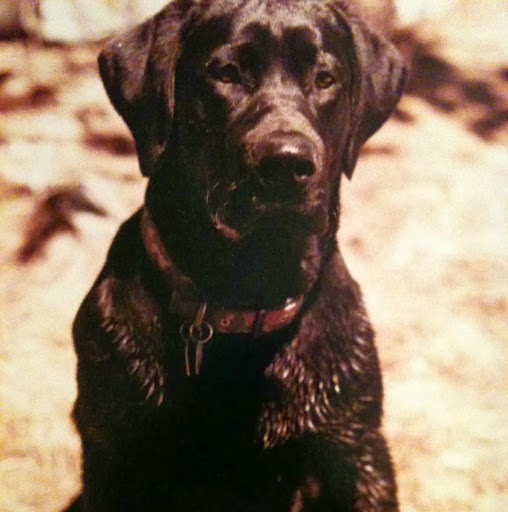 Jeffrey Roach Photo 9