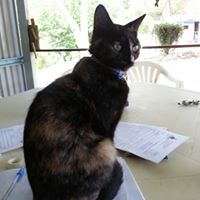 Christine Walling Photo 9