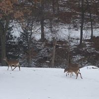 William Hinds Photo 39