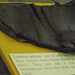 Mary Leathers Photo 10
