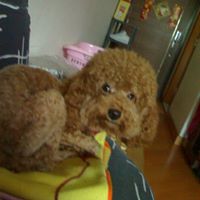 Sandra Chan Photo 29