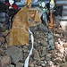 Michelle Goguen Photo 15