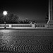 Shawn Duffy Photo 16