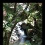 Andrew Hodges Photo 27