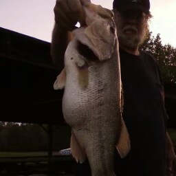 Luther Phillips Photo 3