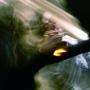 Michael Layman Photo 28
