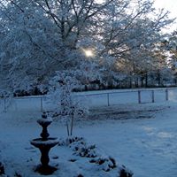 Susan Harp Photo 29