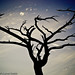 Aaron Crowder Photo 35