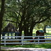 Elizabeth Lange Photo 16