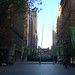 Daphne Peck Photo 8