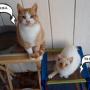 Julie Burk Photo 24