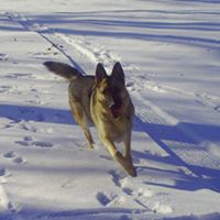 Theresa Macdonald Photo 10