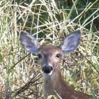 Teresa Mcneely Photo 30