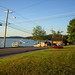 Janet Rea Photo 11