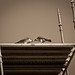 Eddie Falcon Photo 38