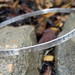 Jennifer Stamper Photo 39
