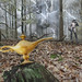 David Forst Photo 32