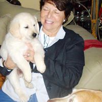 Susan Grimes Photo 40