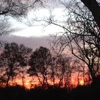 Joy Kramer Photo 12