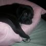 Rebecca Hutchins Photo 26