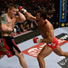 Joe Riggs Photo 28