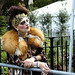 Julie Weldon Photo 18