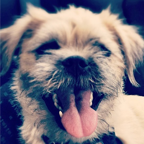 Brooke Williams Photo 23 Brooke Williams Photo 23