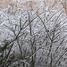 Jenny Poole Photo 28