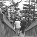 Norman Allan Photo 13