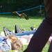 Hope Harris Photo 40